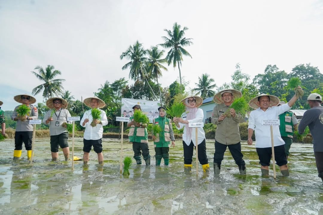 Pertanian adalah jantung Barru dan kami pastikan ia terus berdetak kuat 🌾Komitmen Pemerintah .heic